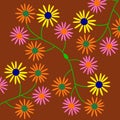 Beautiful colorful daisies on a brown background