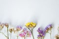 Multicolored dried flowers on wooden background, colorful limonium statice plant with copy space, blank white paper