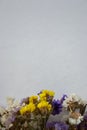 Multicolored dried flowers on wooden background, colorful limonium statice plant with copy space, blank white paper