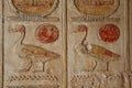 Beautiful colorful ducks on the wall of Ramses iii temple Royalty Free Stock Photo