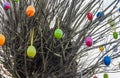 Beautiful and colorful easter egg decoration hanging in a tree Royalty Free Stock Photo