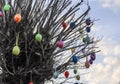 Beautiful and colorful easter egg decoration hanging in a tree Royalty Free Stock Photo