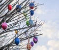Beautiful and colorful easter egg decoration hanging in a tree Royalty Free Stock Photo