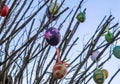 Beautiful and colorful easter egg decoration hanging in a tree Royalty Free Stock Photo
