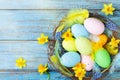 Beautiful colorful Easter eggs in nest, feather and spring flowers on rustic table top view. Holiday card or banner