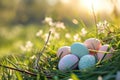 Beautiful colorful eggs and flowers in spring grass meadow over blue sky with sun Royalty Free Stock Photo