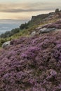 Beautiful colorful English Peak District landscape from Curbar Edge of colorful heather during late Summer sunset