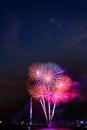 Beautiful colorful firework display for celebration happy new ye