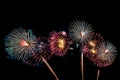 Beautiful colorful firework display at night for celebrate Royalty Free Stock Photo