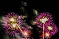 Beautiful colorful firework display at night for celebrate Royalty Free Stock Photo