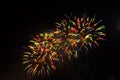 Beautiful colorful firework isolated on black background Royalty Free Stock Photo