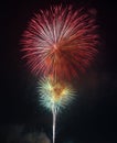 Beautiful colorful firework on the sky at night. Royalty Free Stock Photo