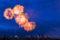 Beautiful colorful fireworks in the dark blue night sky - perfect for a background Royalty Free Stock Photo