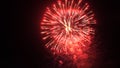 Beautiful red fireworks explosion in the night sky Royalty Free Stock Photo