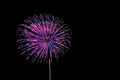 Beautiful colorful fireworks sparkle in night sky