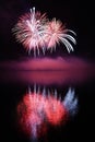 Beautiful colorful fireworks on water. Brno dam. International Fireworks Competition Ignis Brunensis. Brno - Czech Republic - Euro Royalty Free Stock Photo