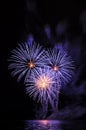 Beautiful colorful fireworks on water. Purple fireworks reflection. Brno dam. International Fireworks Competition Ignis Brunensis. Royalty Free Stock Photo