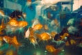 Colorful golden fish in the aquarium Royalty Free Stock Photo