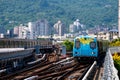 A beautiful colorful flower painted on train on railway. Beitou Train Station,