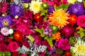 Beautiful colorful flowers background. Aster, carnation and rose flowers. Top view Royalty Free Stock Photo