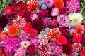 Beautiful colorful flowers background. Aster and rose flowers. Top view Royalty Free Stock Photo