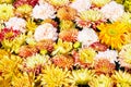 Beautiful colorful flowers background. Colorful carnation and chrysanthemum flowers. Top view Royalty Free Stock Photo