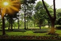 Beautiful colorful flowers and green nature plant tree forest in the public garden and green city parks Royalty Free Stock Photo