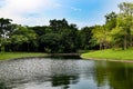 Beautiful colorful flowers and green nature plant tree forest in the public garden and green city parks Royalty Free Stock Photo