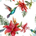 Beautiful colorful flying hummingbirds and bright flowers on whi