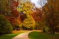 Beautiful Colorful Foliage Trees in the Park, with Little Alley. Autumn Landscape