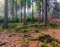 Beautiful colorful forest landscape in autumn season in germany Wasserfall Royalty Free Stock Photo