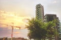 Beautiful colorful front view of skyscraper of Milan with a crane and tree at the sunset