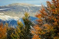 Beautiful colorful frozen foliage in the autumn