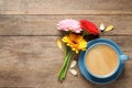 Beautiful colorful gerbera flowers, petals and cup of coffee on wooden table, flat lay. Space for text Royalty Free Stock Photo