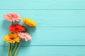 Beautiful colorful gerbera flowers on turquoise wooden table, flat lay. Space for text Royalty Free Stock Photo