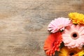 Beautiful colorful gerbera flowers on wooden table, flat lay. Space for text Royalty Free Stock Photo