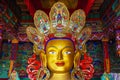 Beautiful and colorful golden buddha statue that call Maitreya Buddha statue in Thiksey monastery temple Royalty Free Stock Photo