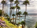 Beautiful Laguna Beach, Southern California. Royalty Free Stock Photo