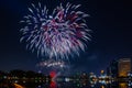 Beautiful colorful holiday fireworks on the black sky background Royalty Free Stock Photo