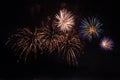 Beautiful colorful holiday fireworks on the black sky background, long exposure Royalty Free Stock Photo