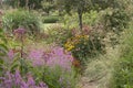 Beautiful colorful landscape image of an English country garden with herbaceous plants and flowers in height of Summer and full