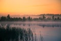 A beautiful, colorful landscape of a misty swamp during the sunrise. Atmospheric, tranquil wetland scenery with sun Royalty Free Stock Photo