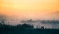 A beautiful, colorful landscape of a misty swamp during the sunrise. Atmospheric, tranquil wetland scenery with sun Royalty Free Stock Photo