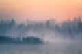 A beautiful, colorful landscape of a misty swamp during the sunrise. Atmospheric, tranquil wetland scenery with sun Royalty Free Stock Photo