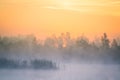 A beautiful, colorful landscape of a misty swamp during the sunrise. Atmospheric, tranquil wetland scenery with sun Royalty Free Stock Photo