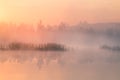 A beautiful, colorful landscape of a misty swamp during the sunrise. Atmospheric, tranquil wetland scenery with sun