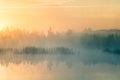 A beautiful, colorful landscape of a misty swamp during the sunrise. Atmospheric, tranquil wetland scenery with sun Royalty Free Stock Photo