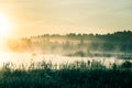 A beautiful, colorful landscape of a misty swamp during the sunrise. Atmospheric, tranquil wetland scenery with sun Royalty Free Stock Photo