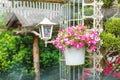colorful lantern and decorative flower pot at summer garden Royalty Free Stock Photo