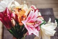 beautiful colorful lily flower bouquet on rustic wooden background. gorgeous bloom lilies on rustic wood backdrop. space for text Royalty Free Stock Photo